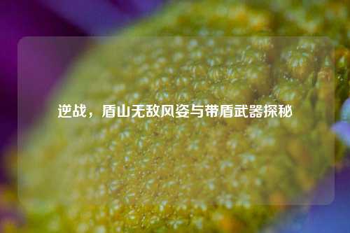 逆战，盾山无敌风姿与带盾武器探秘
