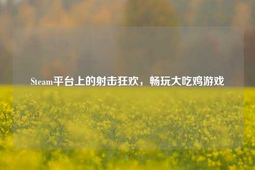 Steam平台上的射击狂欢,畅玩大吃鸡游戏