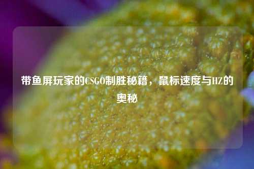 带鱼屏玩家的CSGO制胜秘籍，鼠标速度与HZ的奥秘