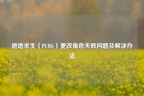 绝地求生(PUBG)更改角色失败问题及解决办法