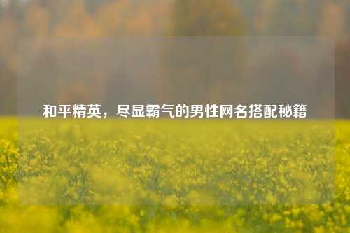 和平精英,尽显霸气的男性网名搭配秘籍