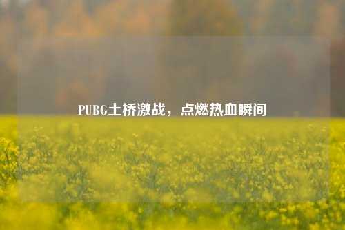 PUBG土桥激战,点燃热血瞬间