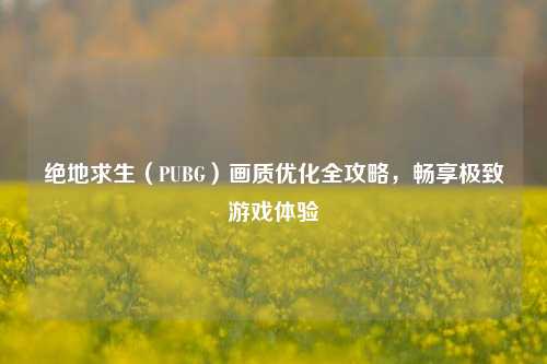 绝地求生(PUBG)画质优化全攻略,畅享极致游戏体验