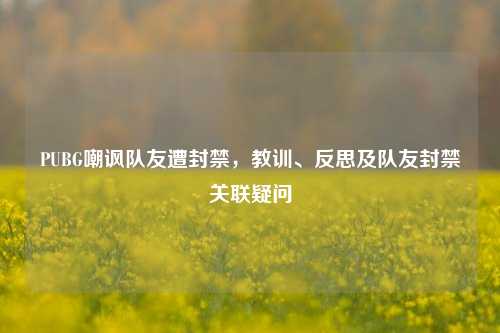 PUBG嘲讽队友遭封禁,教训、反思及队友封禁关联疑问