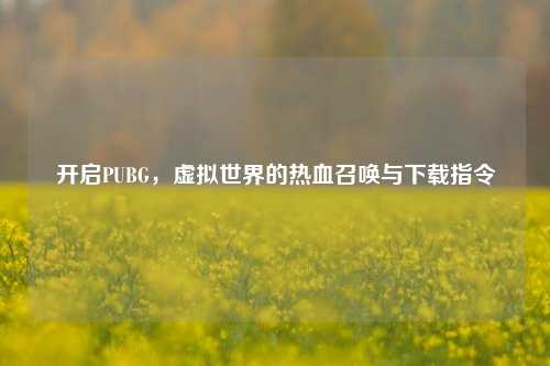 开启PUBG,虚拟世界的热血召唤与下载指令