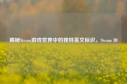 揭秘Steam游戏世界中的独特英文标识，Steam ID