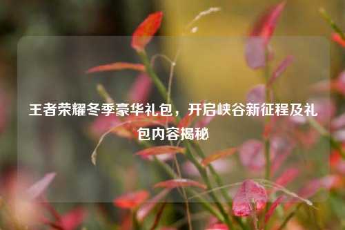 王者荣耀冬季豪华礼包,开启峡谷新征程及礼包内容揭秘