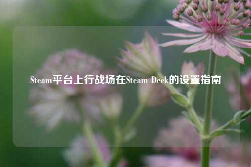 Steam平台上行战场在Steam Deck的设置指南