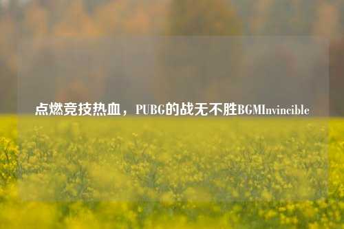 点燃竞技热血,PUBG的战无不胜BGMInvincible