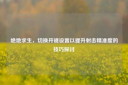 绝地求生,切换开镜设置以提升射击精准度的技巧探讨