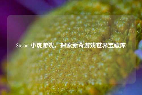 Steam 小虎游戏,探索新奇游戏世界宝藏库