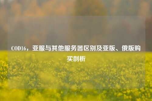 COD16，亚服与其他服务器区别及亚版、俄版购买剖析