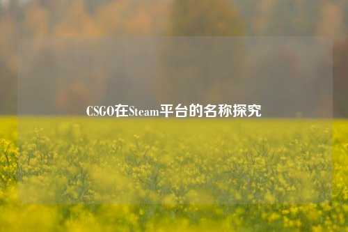 CSGO在Steam平台的名称探究