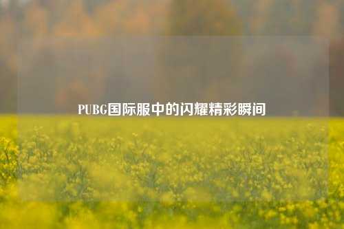 PUBG国际服中的闪耀精彩瞬间