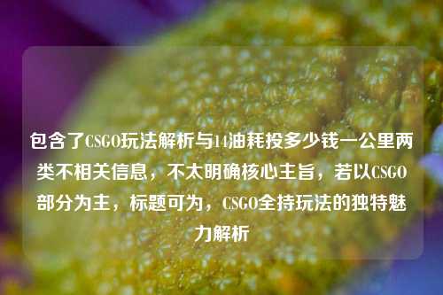包含了CSGO玩法解析与14油耗投多少钱一公里两类不相关信息，不太明确核心主旨，若以CSGO部分为主，标题可为，CSGO全持玩法的独特魅力解析
