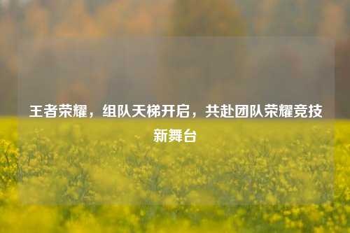 王者荣耀,组队天梯开启,共赴团队荣耀竞技新舞台