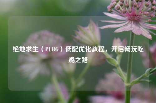 绝地求生(PUBG)低配优化教程,开启畅玩吃鸡之路