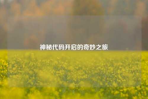神秘代码开启的奇妙之旅
