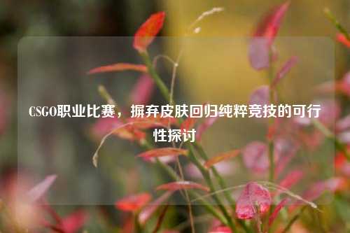 CSGO职业比赛,摒弃皮肤回归纯粹竞技的可行性探讨