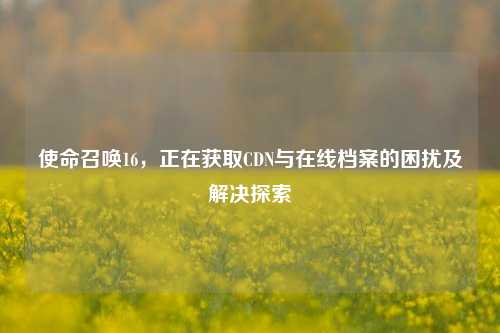 使命召唤16，正在获取CDN与在线档案的困扰及解决探索