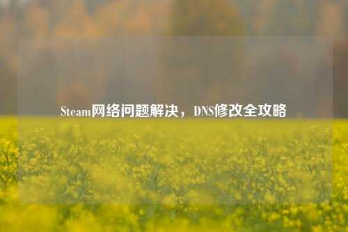 Steam网络问题解决,DNS修改全攻略