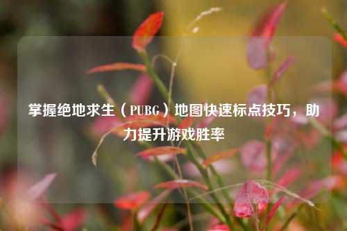 掌握绝地求生（PUBG）地图快速标点技巧，助力提升游戏胜率