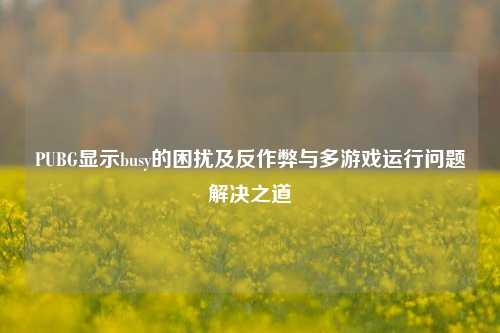PUBG显示busy的困扰及反作弊与多游戏运行问题解决之道