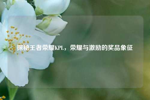 探秘王者荣耀KPL,荣耀与激励的奖品象征