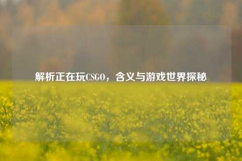 解析正在玩CSGO,含义与游戏世界探秘