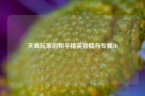天蝎玩家的和平精英冒险与专属ID
