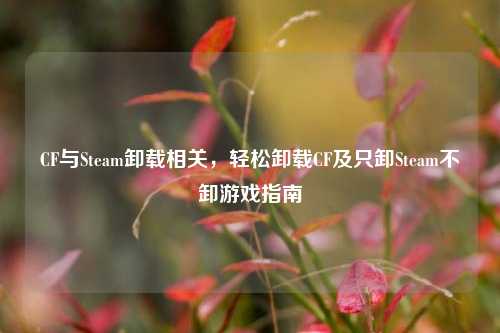 CF与Steam卸载相关,轻松卸载CF及只卸Steam不卸游戏指南