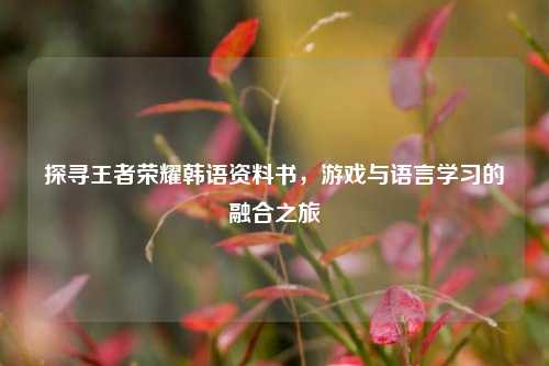 探寻王者荣耀韩语资料书,游戏与语言学习的融合之旅