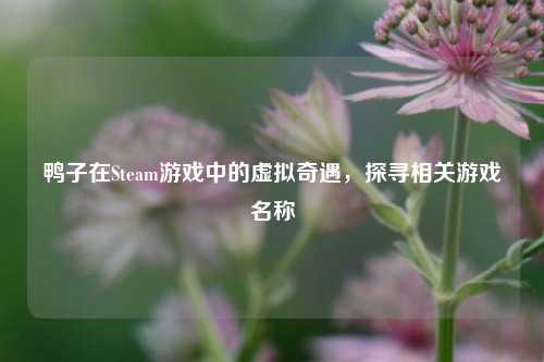 鸭子在Steam游戏中的虚拟奇遇，探寻相关游戏名称