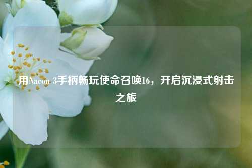 用Nacon 3手柄畅玩使命召唤16，开启沉浸式射击之旅