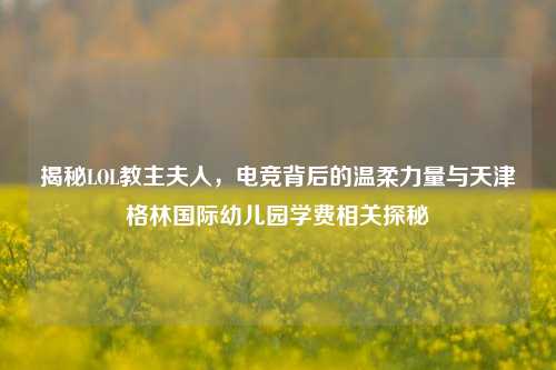 揭秘LOL教主夫人，电竞背后的温柔力量与天津格林国际幼儿园学费相关探秘