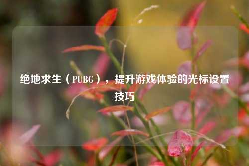 绝地求生(PUBG),提升游戏体验的光标设置技巧