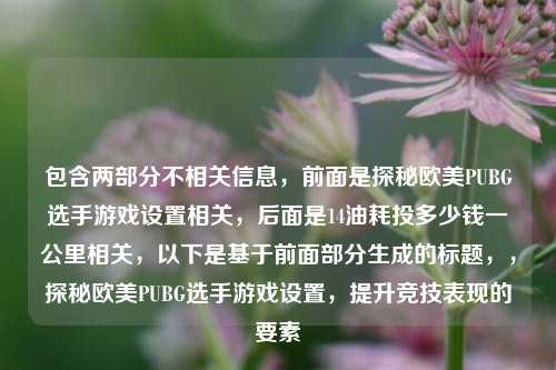 包含两部分不相关信息，前面是探秘欧美PUBG选手游戏设置相关，后面是14油耗投多少钱一公里相关，以下是基于前面部分生成的标题，，探秘欧美PUBG选手游戏设置，提升竞技表现的要素