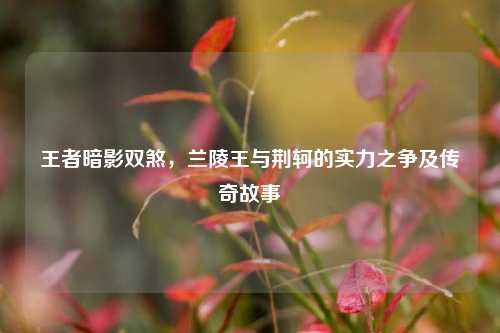 王者暗影双煞,兰陵王与荆轲的实力之争及传奇故事