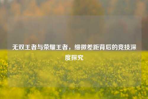 无双王者与荣耀王者,细微差距背后的竞技深度探究