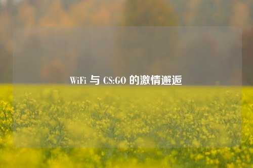 WiFi 与 CS:GO 的激情邂逅