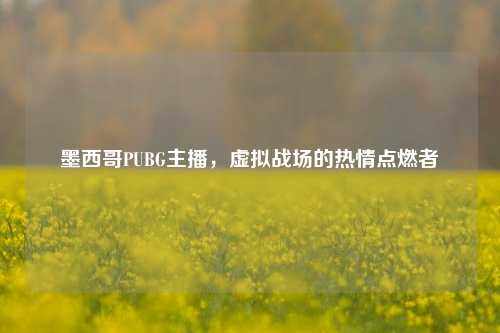 墨西哥PUBG主播，虚拟战场的热情点燃者