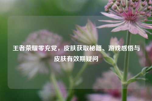 王者荣耀零充党，皮肤获取秘籍、游戏感悟与皮肤有效期疑问