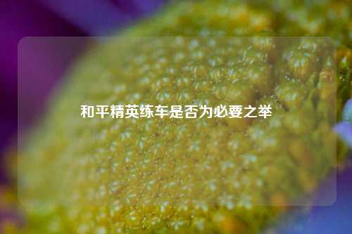 和平精英练车是否为必要之举