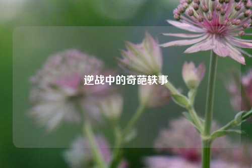逆战中的奇葩轶事