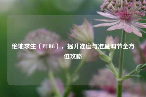 绝地求生(PUBG),提升准度与准星调节全方位攻略