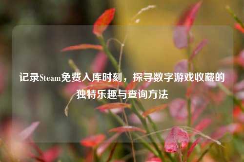 记录Steam免费入库时刻,探寻数字游戏收藏的独特乐趣与查询方法