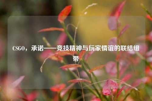 CSGO，承诺——竞技精神与玩家情谊的联结纽带