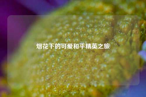 烟花下的可爱和平精英之旅