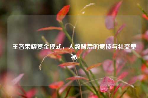王者荣耀赏金模式，人数背后的竞技与社交奥秘