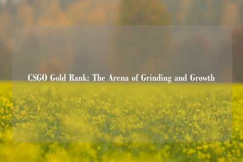 CSGO Gold Rank: The Arena of Grinding and Growth